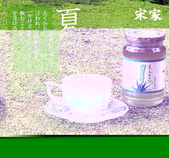 Áײȥ¢¥í¥¨Ãã 510g (¥½¥ó¥¬¥Í¥¢¥í¥¨Ãã 510g)